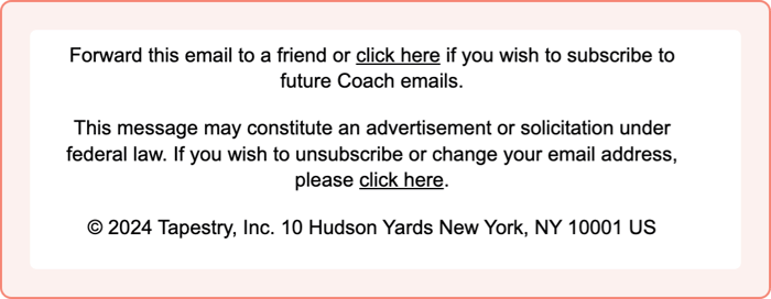 Email Footer Example-1